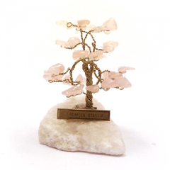Stromeček štěstí růženín - mini
