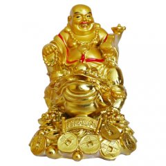 Budha bohatství  a prosperita - žába na mincích, 13cm